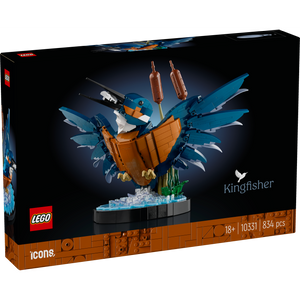 Kingfisher Bird 10331