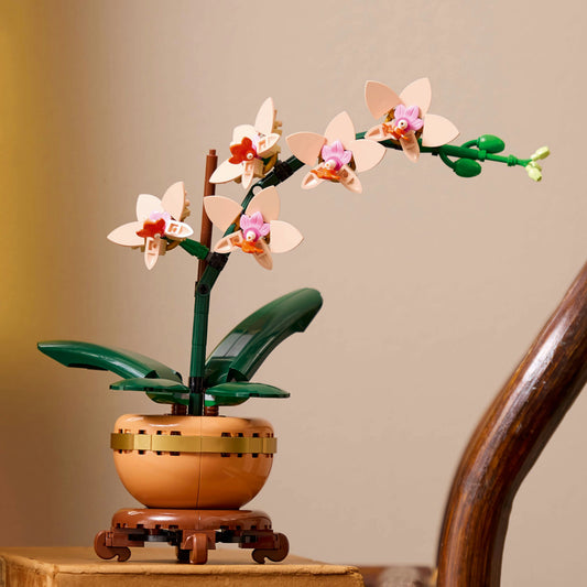 10343 Mini Orchid