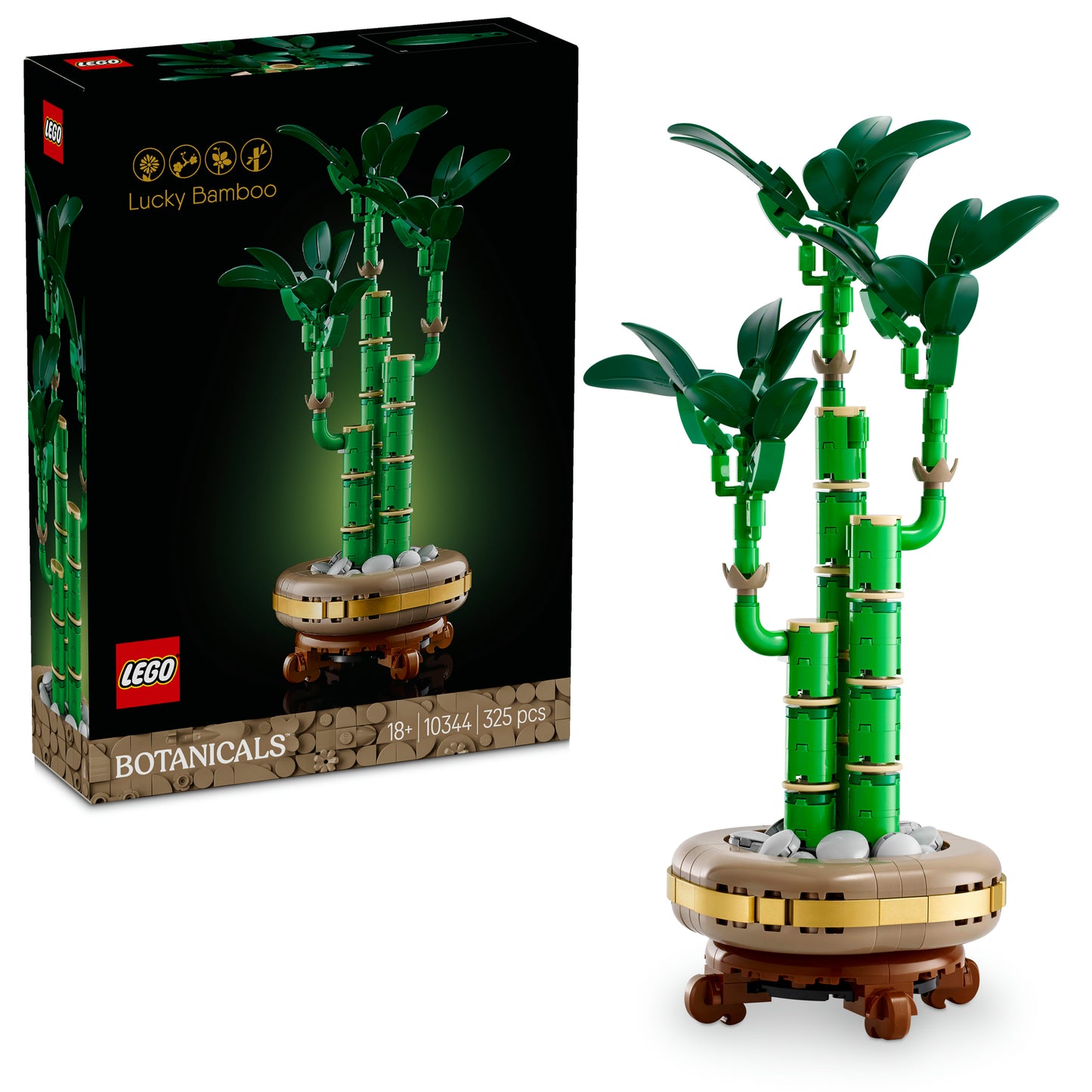 10344 Lucky Bamboo