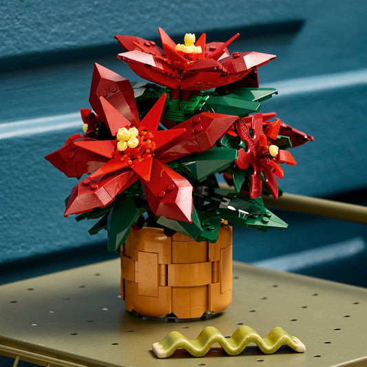 Poinsettia 10370