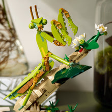 Load image into Gallery viewer, LEGO® Ideas The Insect Collection 21342
