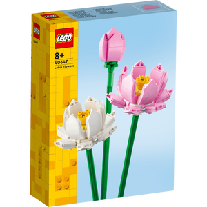 Lotus Flowers 40647