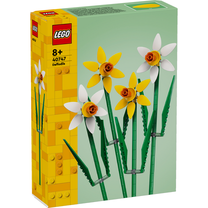 Daffodils 40747