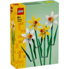 Load image into Gallery viewer, Daffodils 40747
