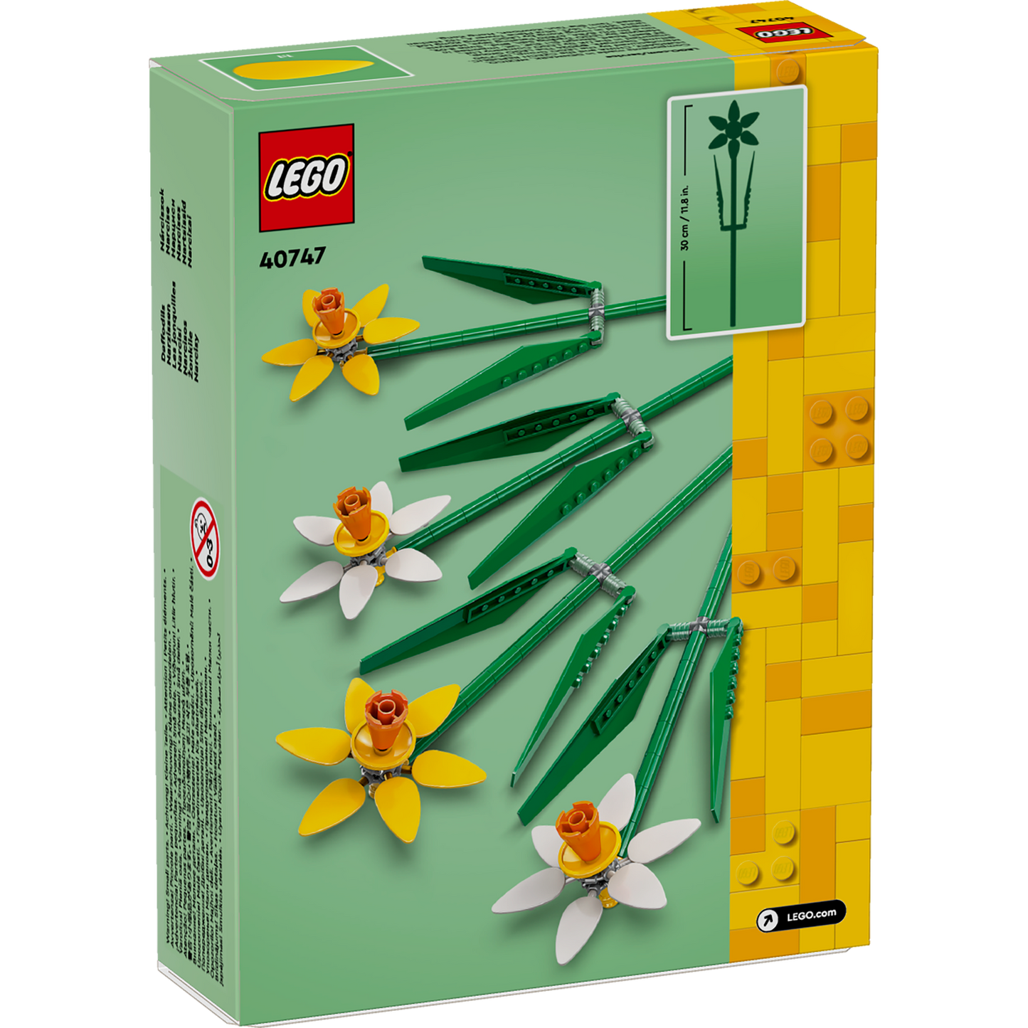 Daffodils 40747