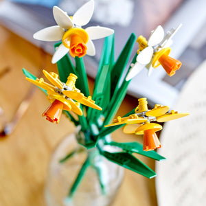 Daffodils 40747