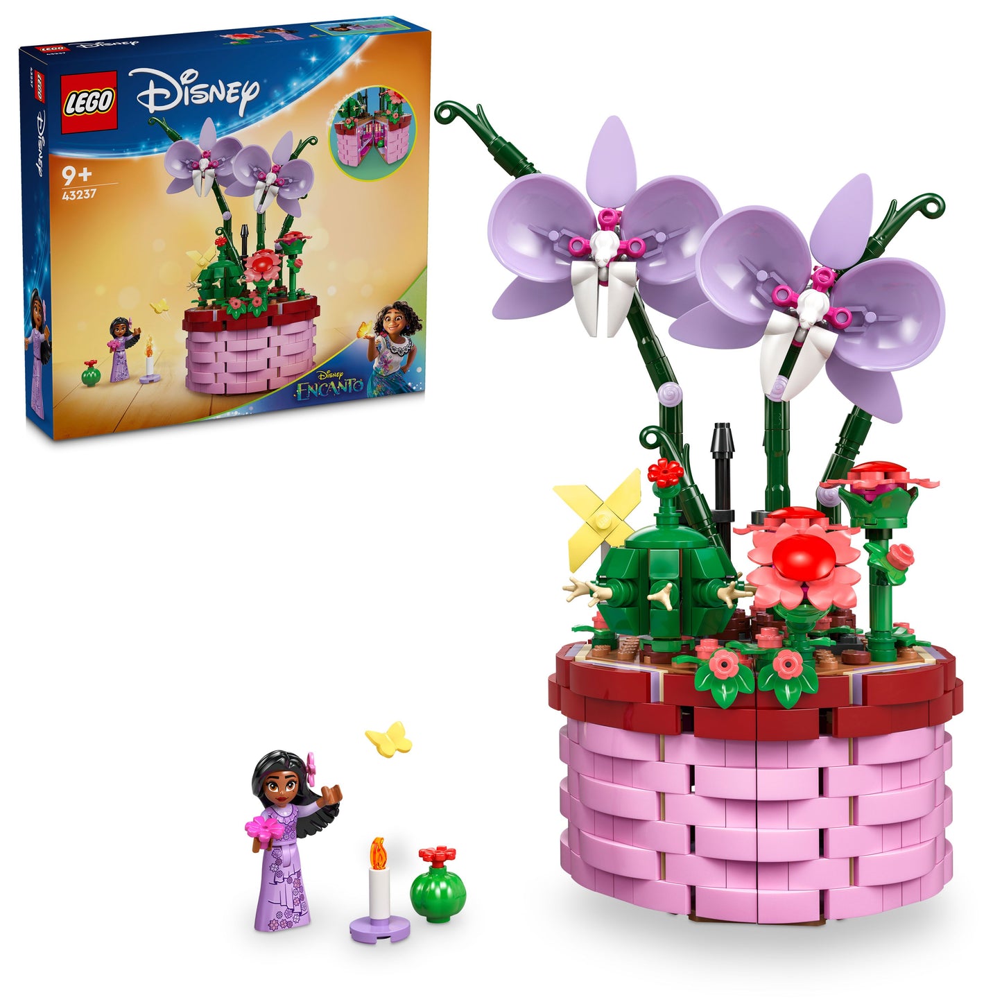 Isabela's Flowerpot 43237