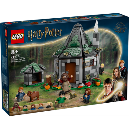 Hagrid's Hut: An Unexpected Visit 76428