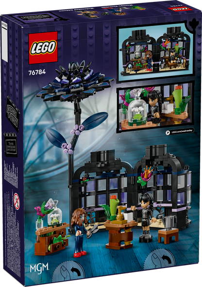 76784 Black Dahlia Flower