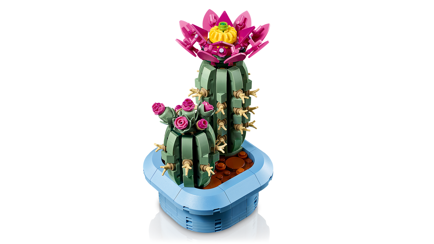 11509 Flowering Cactus