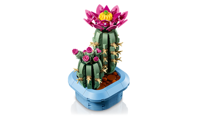 11509 Flowering Cactus
