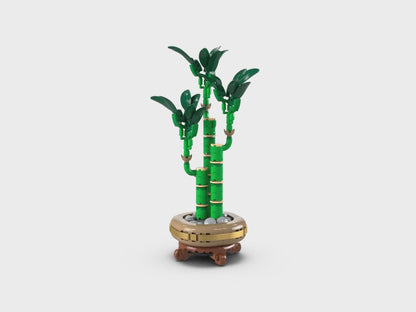 10344 Lucky Bamboo