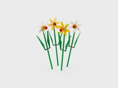 Daffodils 40747