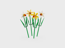 Load and play video in Gallery viewer, Daffodils 40747
