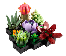 Load image into Gallery viewer, Succulents 10309
