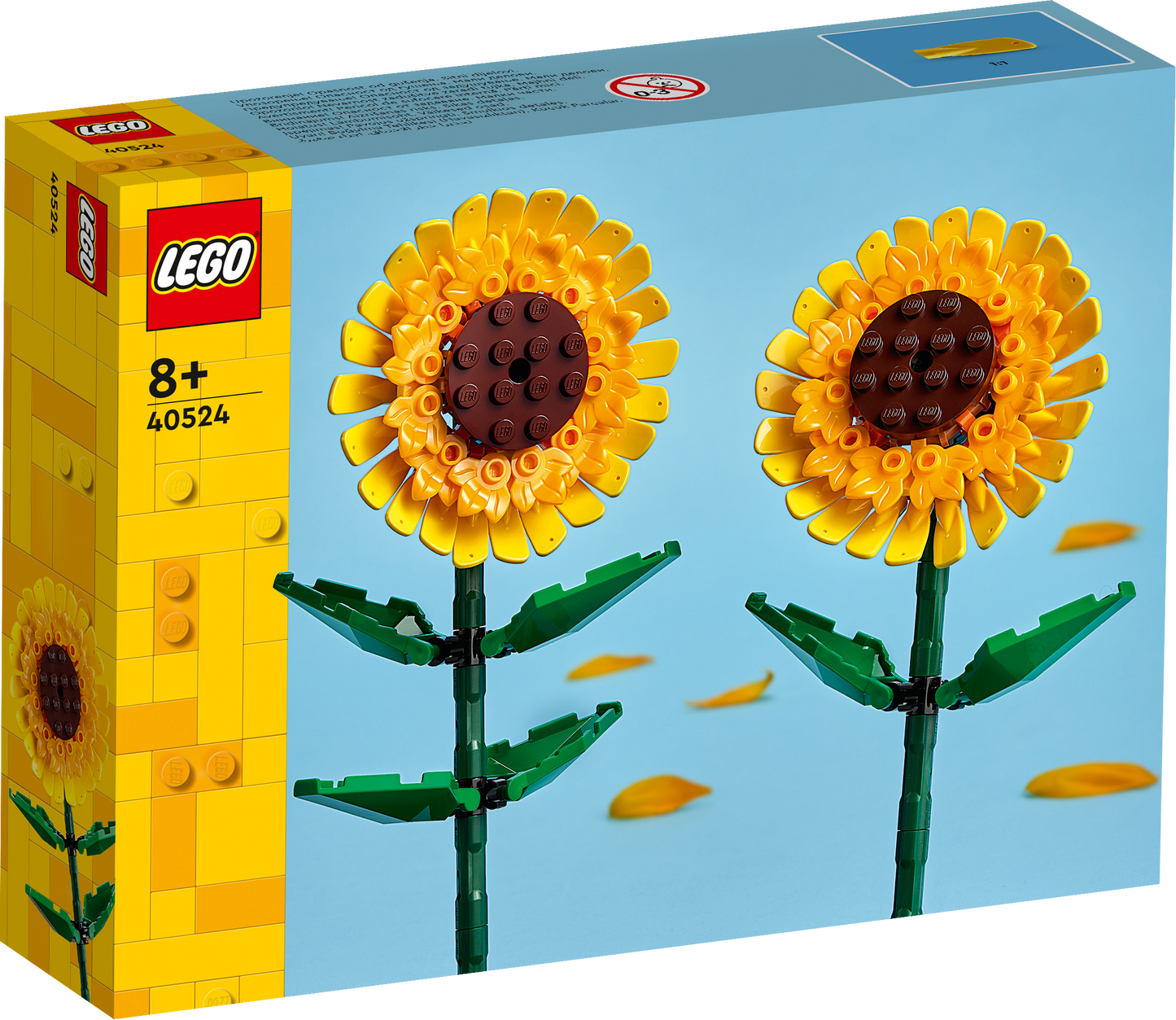 Sunflowers 40524