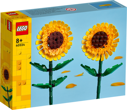 Sunflowers 40524