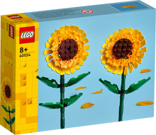Load image into Gallery viewer, Sunflowers 40524
