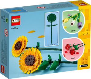 Sunflowers 40524