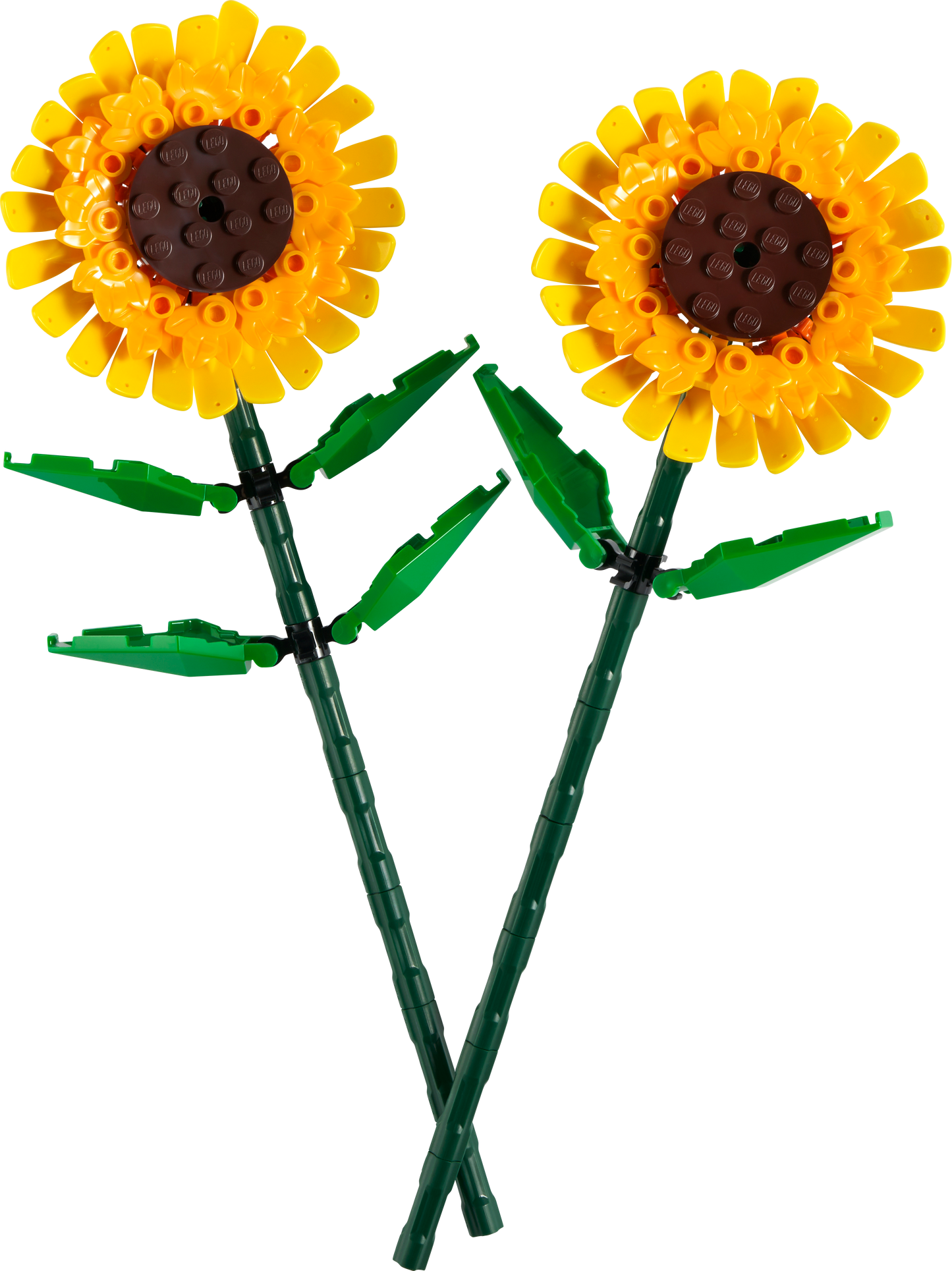 Sunflowers 40524